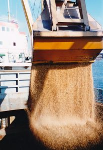 Wheat Shipment